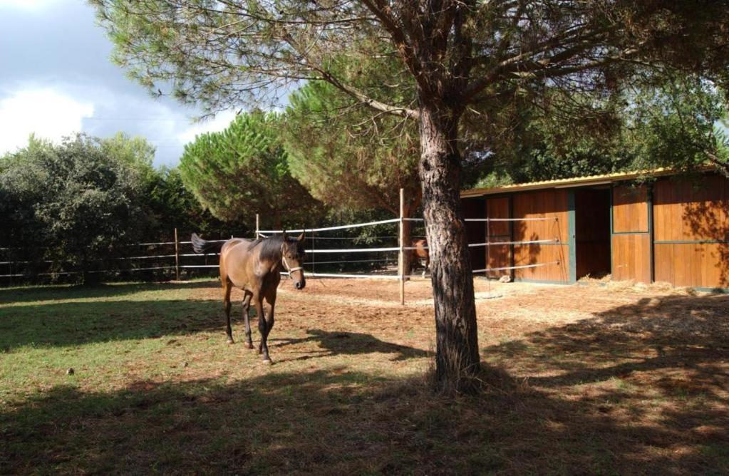 Tenuta Don Monaco - Agriturismo Santa Cesarea Terme Exterior foto